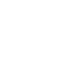 Icon of secure voice data