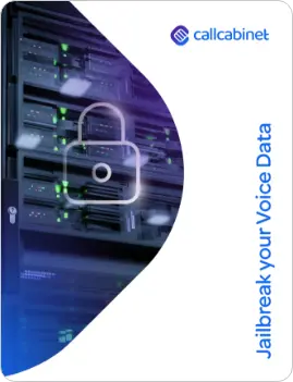 jailbreak your voice data brochure